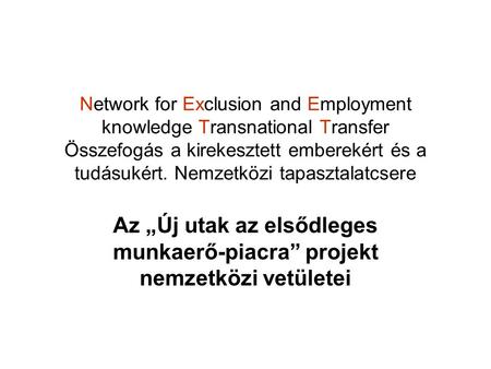 Network for Exclusion and Employment knowledge Transnational Transfer Összefogás a kirekesztett emberekért és a tudásukért. Nemzetközi tapasztalatcsere.