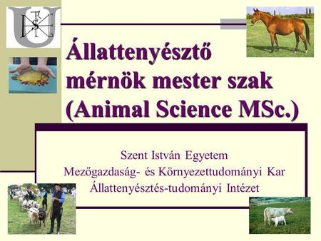 Állattenyésztő mérnök mester szak (Animal Science MSc.)