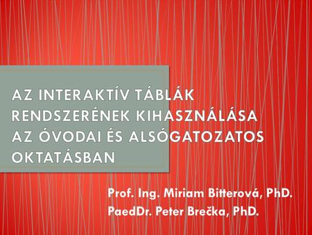 Prof. Ing. Miriam Bitterová, PhD. PaedDr. Peter Brečka, PhD.