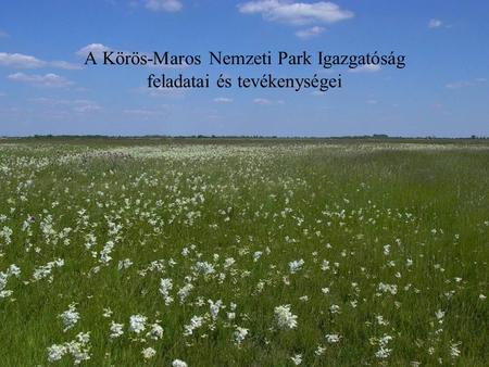 A Körös-Maros Nemzeti Park Igazgatóság feladatai és tevékenységei.