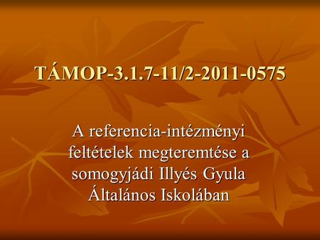 TÁMOP-3.1.7-11/2-2011-0575 A referencia-intézményi feltételek megteremtése a somogyjádi Illyés Gyula Általános Iskolában.