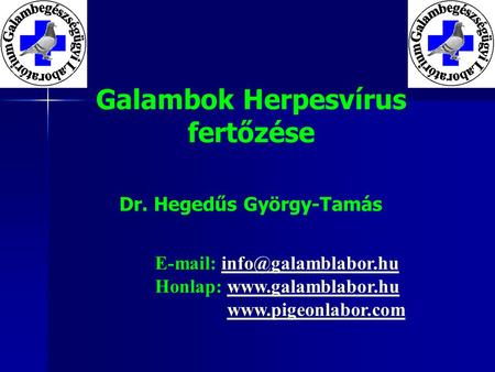 Galambok Herpesvírus fertőzése Dr. Hegedűs György-Tamás   Honlap: