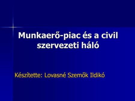 Munkaerő-piac és a civil szervezeti háló Készítette: Lovasné Szemők Ildikó.