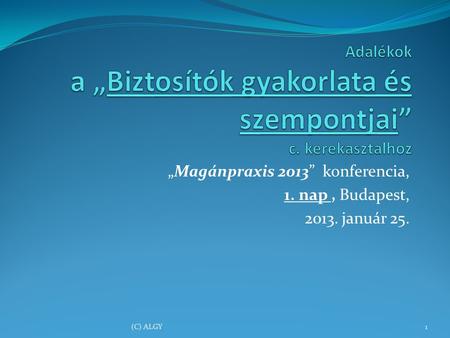 „Magánpraxis 2013” konferencia, 1. nap, Budapest, 2013. január 25. (C) ALGY1.