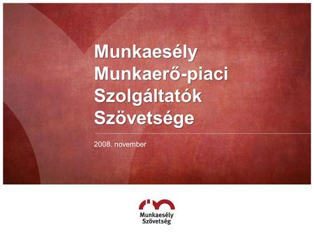 Munkaesély Munkaerő-piaci Szolgáltatók Szövetsége 2008. november.