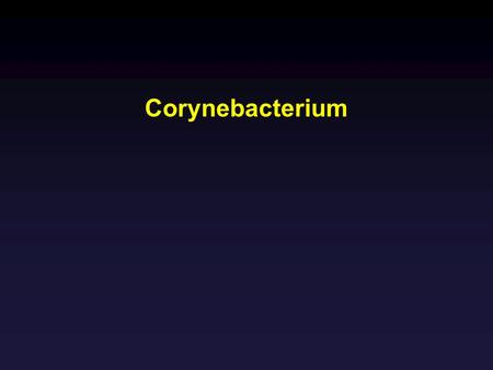 Corynebacterium.