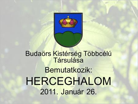 Budaörs Kistérség Többcélú Társulása Bemutatkozik: HERCEGHALOM 2011. Január 26.