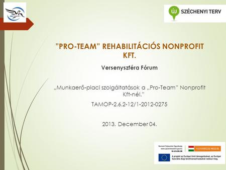 ”PRO-TEAM” REHABILITÁCIÓS NONPROFIT KFT. Versenyszféra Fórum „Munkaerő-piaci szolgáltatások a „Pro-Team” Nonprofit Kft-nél.” TAMOP-2.6.2-12/1-2012-0275.