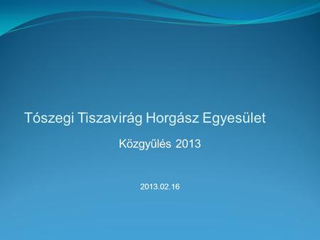 Tószegi Tiszavirág Horgász Egyesület Közgyűlés 2013 2013.02.16.