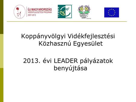 Koppányvölgyi Vidékfejlesztési Közhasznú Egyesület 2013. évi LEADER pályázatok benyújtása.