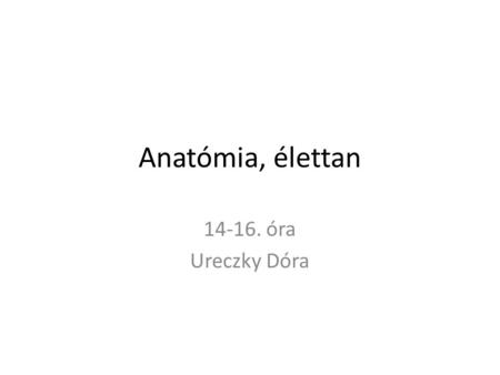 Anatómia, élettan 14-16. óra Ureczky Dóra.
