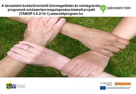 A társadalmi kohéziót erősítő bűnmegelőzési és reintegrációs programok módszertani megalapozása-kiemelt projekt (TÁMOP 5.6.2/10-1),www.tettprogram.hu.