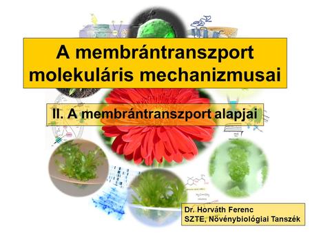 A membrántranszport molekuláris mechanizmusai