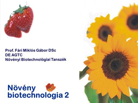Növény biotechnologia 2