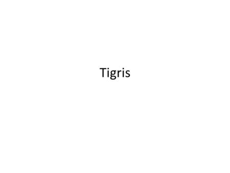 Tigris.