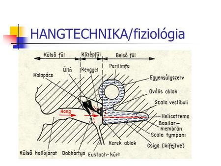 HANGTECHNIKA/fiziológia