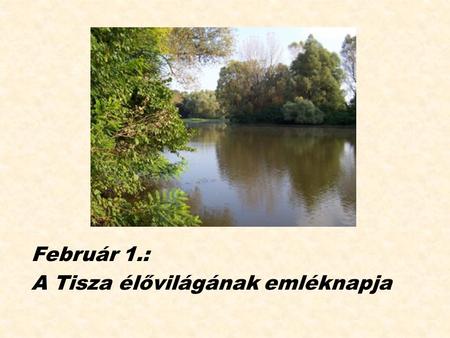 Február 1.: A Tisza élővilágának emléknapja.
