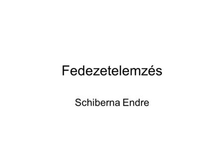 Fedezetelemzés Schiberna Endre.