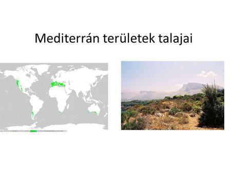 Mediterrán területek talajai