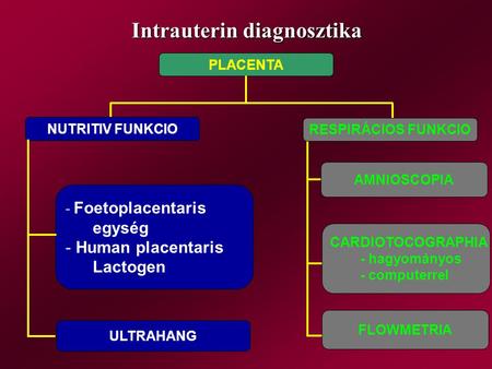 Intrauterin diagnosztika