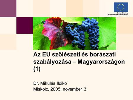 Dr. Mikulás Ildikó Miskolc, 2005. november 3. Az EU szőlészeti és borászati szabályozása – Magyarországon (1)