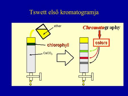 Tswett első kromatogramja