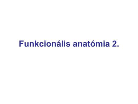 Funkcionális anatómia 2.