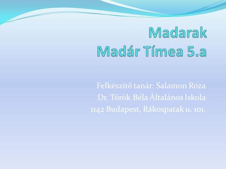Madarak Madár Tímea 5.a Felkészítő tanár: Salamon Róza