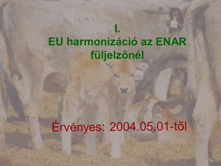 I. EU harmonizáció az ENAR füljelzőnél Érvényes: 2004.05.01-től.