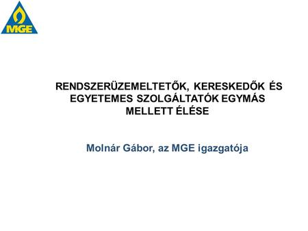 Molnár Gábor, az MGE igazgatója