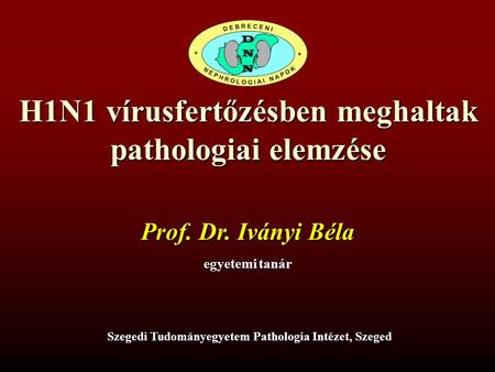 H1N1 vírusfertőzésben meghaltak pathologiai elemzése Prof. Dr. Iványi Béla egyetemi tanár Szegedi Tudományegyetem Pathologia Intézet, Szeged.