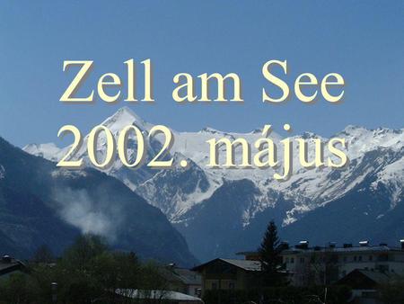 Kincses Gyula9/1 Zell am See 2002. május Kincses Gyula9/2 Az ezévi konferencia alapvető célja Az egészség-politika belső viszonyainak konszolidálása,