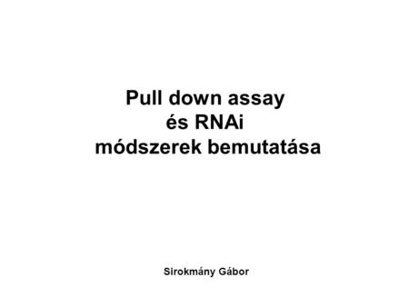 Pull down assay és RNAi módszerek bemutatása Sirokmány Gábor.