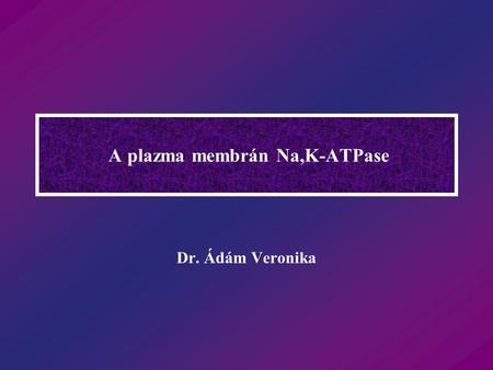 A plazma membrán Na,K-ATPase
