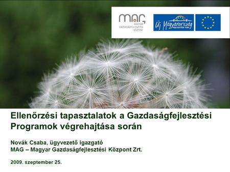 Ellenőrzési tapasztalatok a Gazdaságfejlesztési Programok végrehajtása során Novák Csaba, ügyvezető igazgató MAG – Magyar Gazdaságfejlesztési Központ.