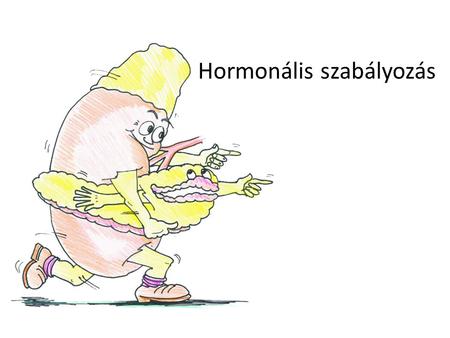 Hormonális szabályozás