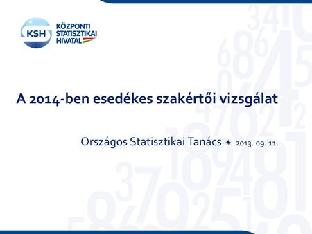 A 2014-ben esedékes szakértői vizsgálat Országos Statisztikai Tanács  2013. 09. 11.