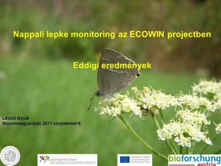 Nappali lepke monitoring az ECOWIN projectben Eddigi eredmények László Gyula Mosonmagyaróvár, 2011 szeptember 8.