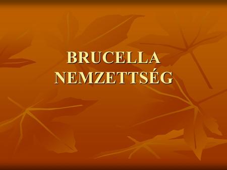 BRUCELLA NEMZETTSÉG.