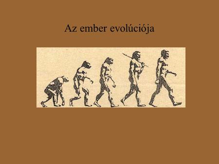Az ember evolúciója.
