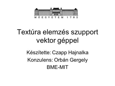 Textúra elemzés szupport vektor géppel