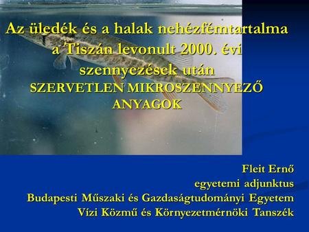 Az üledék és a halak nehézfémtartalma a Tiszán levonult 2000