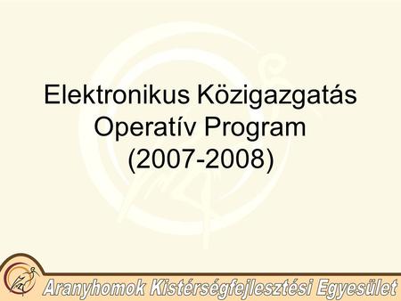 Elektronikus Közigazgatás Operatív Program (2007-2008)
