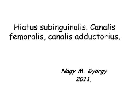 Hiatus subinguinalis. Canalis femoralis, canalis adductorius.