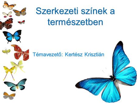 Szerkezeti színek a természetben Témavezető: Kertész Krisztián.