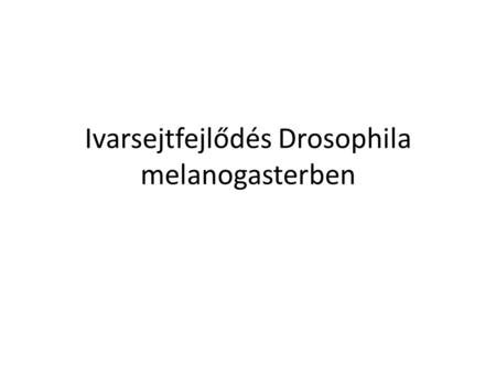 Ivarsejtfejlődés Drosophila melanogasterben