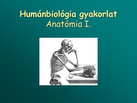 Humánbiológia gyakorlat Anatómia I.