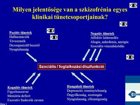 Milyen jelentősége van a szkizofrénia egyes klinikai tünetcsoportjainak? Pozitív tünetek Hallucinációk Téveszmék Dezorganizált beszéd Nyugtalanság Negatív.