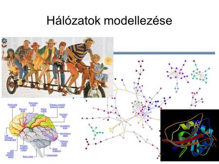 Hálózatok modellezése. Hálózatok Many complex systems in nature and society can be successfully represented in terms of networks capturing the intricate.