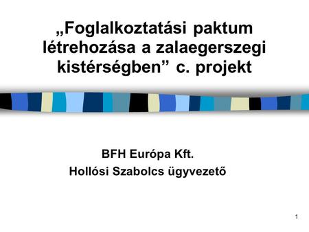 BFH Európa Kft. Hollósi Szabolcs ügyvezető